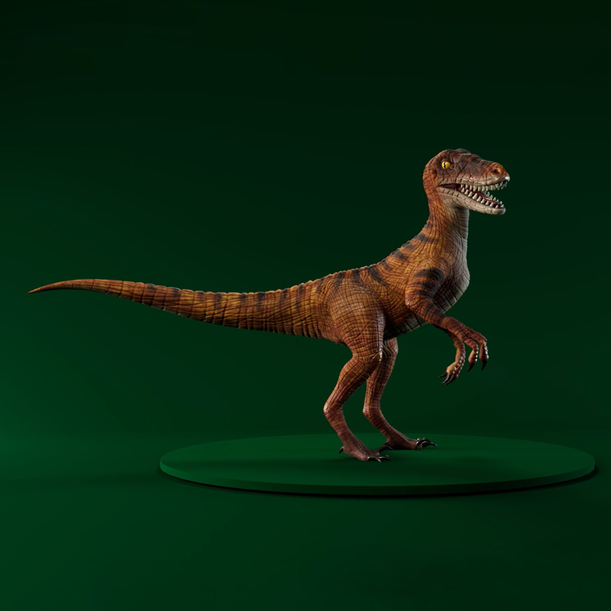 RaptorSquare